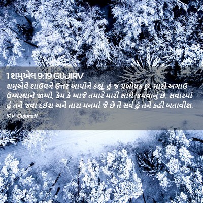 Picture 02 - 1 શમુએલ 9:19 GUJIRV - શમુએલે શાઉલને - Bible Verse Picture