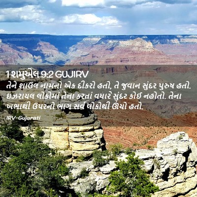 Picture 02 - 1 શમુએલ 9:2 GUJIRV - તેને શાઉલ નામનો એક - Bible Verse Picture