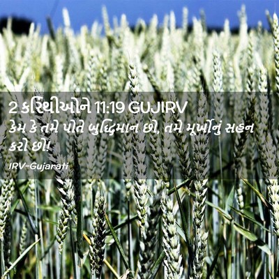 Picture 02 - 2 કરિંથીઓને 11:19 GUJIRV - કેમ કે તમે પોતે - Bible Verse Picture