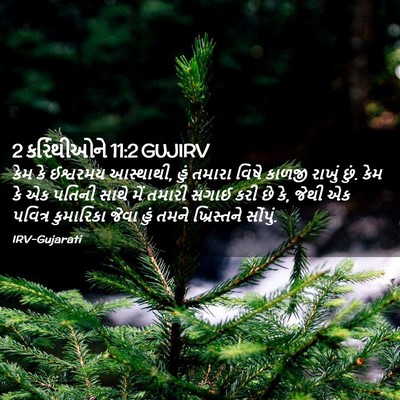 Picture 02 - 2 કરિંથીઓને 11:2 GUJIRV - કેમ કે ઈશ્વરમય - Bible Verse Picture