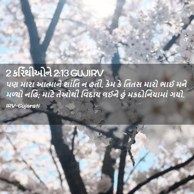 Picture 02 - 2 કરિંથીઓને 2:13 GUJIRV - પણ મારા આત્માને - Bible Verse Picture