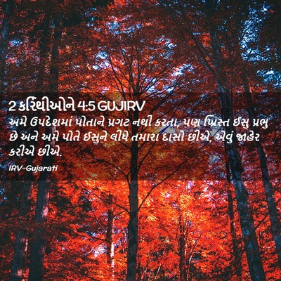 Picture 02 - 2 કરિંથીઓને 4:5 GUJIRV - અમે ઉપદેશમાં - Bible Verse Picture