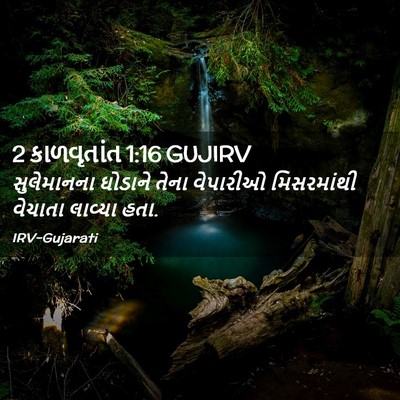 Picture 02 - 2 કાળવૃતાંત 1:16 GUJIRV - સુલેમાનના ઘોડાને - Bible Verse Picture