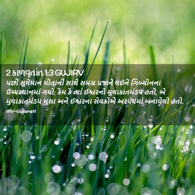 Picture 02 - 2 કાળવૃતાંત 1:3 GUJIRV - પછી સુલેમાન - Bible Verse Picture