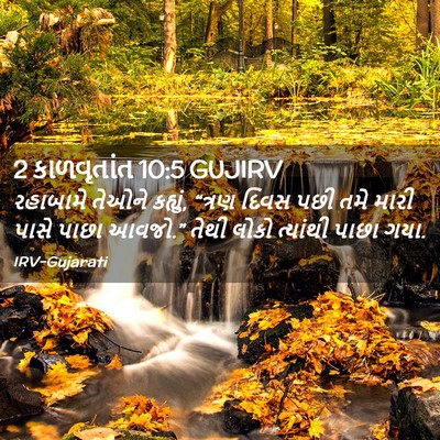 Picture 02 - 2 કાળવૃતાંત 10:5 GUJIRV - રહાબામે તેઓને - Bible Verse Picture