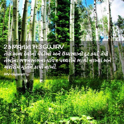 Picture 02 - 2 કાળવૃતાંત 14:3 GUJIRV - તેણે અન્ય દેવોની - Bible Verse Picture