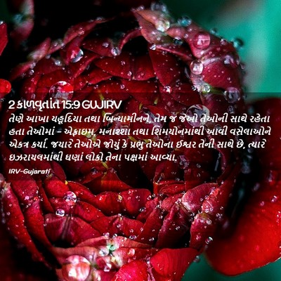 Picture 02 - 2 કાળવૃતાંત 15:9 GUJIRV - તેણે આખા યહૂદિયા - Bible Verse Picture