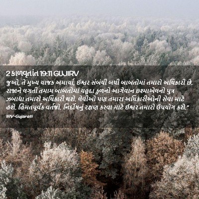 Picture 02 - 2 કાળવૃતાંત 19:11 GUJIRV - જુઓ, તે મુખ્ય યાજક - Bible Verse Picture