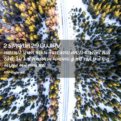 Picture 02 - 2 કાળવૃતાંત 2:9 GUJIRV - મારા માટે પુષ્કળ - Bible Verse Picture