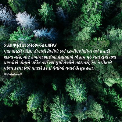 Picture 02 - 2 કાળવૃતાંત 29:34 GUJIRV - પણ યાજકો ઓછા - Bible Verse Picture