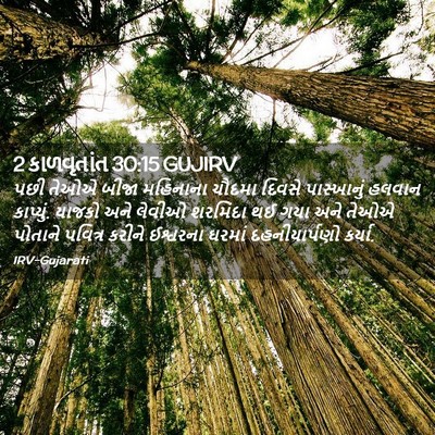 Picture 02 - 2 કાળવૃતાંત 30:15 GUJIRV - પછી તેઓએ બીજા - Bible Verse Picture