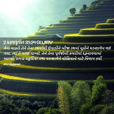 Picture 02 - 2 કાળવૃતાંત 35:24 GUJIRV - તેના ચાકરો તેને - Bible Verse Picture