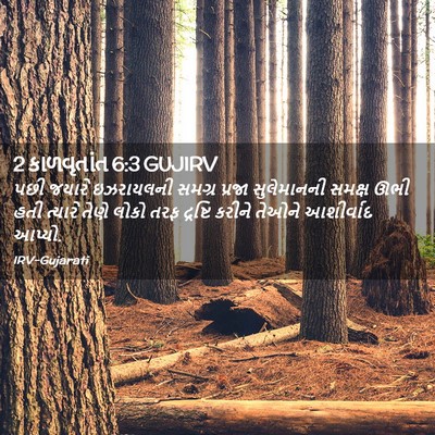 Picture 02 - 2 કાળવૃતાંત 6:3 GUJIRV - પછી જયારે - Bible Verse Picture