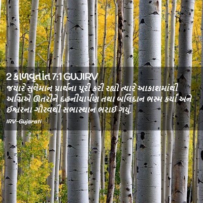 Picture 02 - 2 કાળવૃતાંત 7:1 GUJIRV - જયારે સુલેમાન - Bible Verse Picture