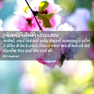 Picture 02 - 2 થેસ્સલોનિકીઓને 1:3 GUJIRV - ભાઈઓ, તમારે વિષે - Bible Verse Picture