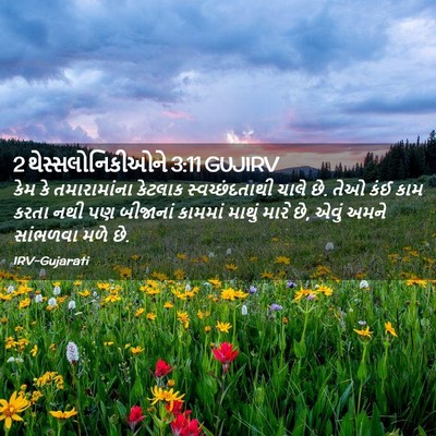 Picture 02 - 2 થેસ્સલોનિકીઓને 3:11 GUJIRV - કેમ કે તમારામાંના - Bible Verse Picture