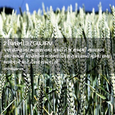 Picture 02 - 2 પિતરનો 3:7 GUJIRV - પણ હમણાંનાં આકાશ - Bible Verse Picture