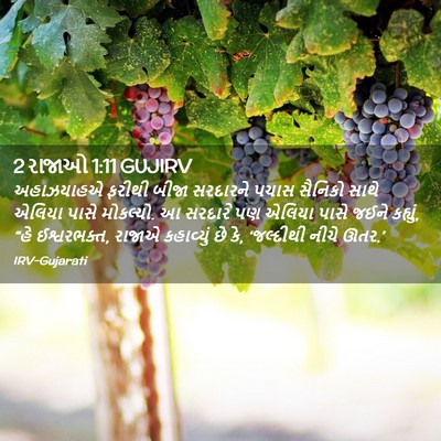 Picture 02 - 2 રાજાઓ 1:11 GUJIRV - અહાઝયાહએ ફરીથી - Bible Verse Picture