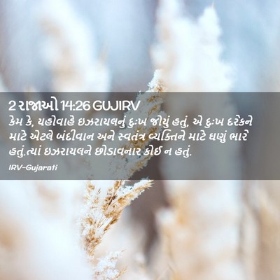 Picture 02 - 2 રાજાઓ 14:26 GUJIRV - કેમ કે, યહોવાહે - Bible Verse Picture