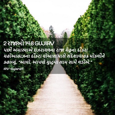 Picture 02 - 2 રાજાઓ 14:8 GUJIRV - પછી અમાસ્યાએ - Bible Verse Picture