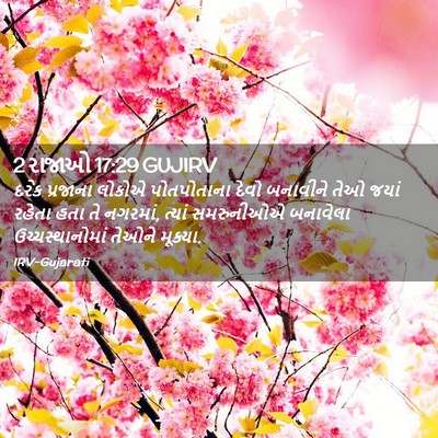 Picture 02 - 2 રાજાઓ 17:29 GUJIRV - દરેક પ્રજાના - Bible Verse Picture