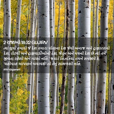 Picture 02 - 2 રાજાઓ 18:32 GUJIRV - ત્યાં સુધી તમારો - Bible Verse Picture