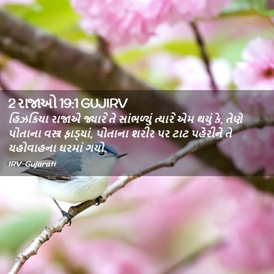 Picture 02 - 2 રાજાઓ 19:1 GUJIRV - હિઝકિયા રાજાએ - Bible Verse Picture