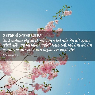 Picture 02 - 2 રાજાઓ 3:17 GUJIRV - કેમ કે યહોવાહ એવું - Bible Verse Picture