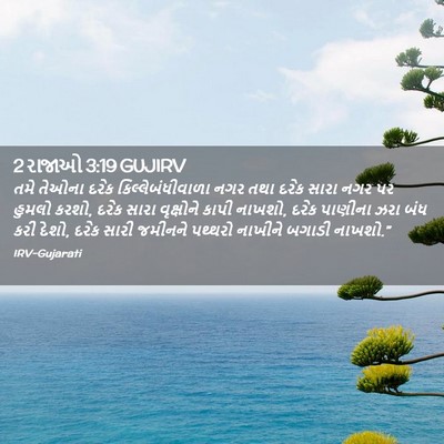 Picture 02 - 2 રાજાઓ 3:19 GUJIRV - તમે તેઓના દરેક - Bible Verse Picture