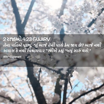Picture 02 - 2 રાજાઓ 4:23 GUJIRV - તેના પતિએ પૂછ્યું, - Bible Verse Picture