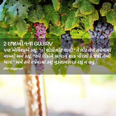 Picture 02 - 2 રાજાઓ 4:41 GUJIRV - પણ એલિશાએ કહ્યું, - Bible Verse Picture