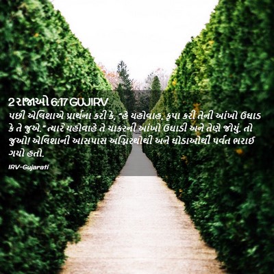 Picture 02 - 2 રાજાઓ 6:17 GUJIRV - પછી એલિશાએ - Bible Verse Picture