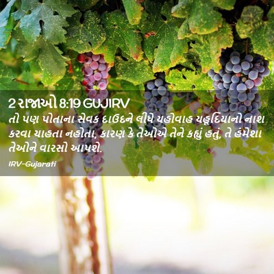 Picture 02 - 2 રાજાઓ 8:19 GUJIRV - તો પણ પોતાના સેવક - Bible Verse Picture