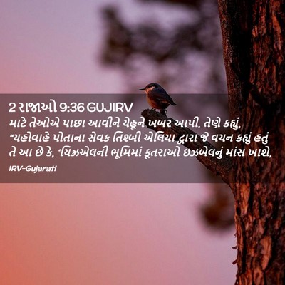 Picture 02 - 2 રાજાઓ 9:36 GUJIRV - માટે તેઓએ પાછા - Bible Verse Picture