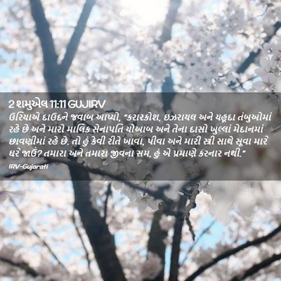 Picture 02 - 2 શમુએલ 11:11 GUJIRV - ઉરિયાએ દાઉદને - Bible Verse Picture