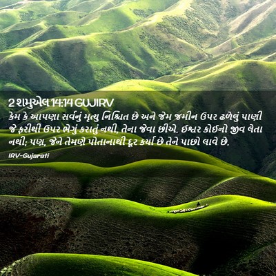 Picture 02 - 2 શમુએલ 14:14 GUJIRV - કેમ કે આપણા - Bible Verse Picture