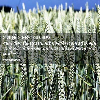 Picture 02 - 2 શમુએલ 14:20 GUJIRV - વાતને યોગ્ય રીતે - Bible Verse Picture