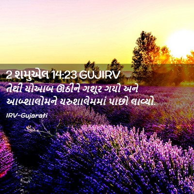 Picture 02 - 2 શમુએલ 14:23 GUJIRV - તેથી યોઆબ ઊઠીને - Bible Verse Picture