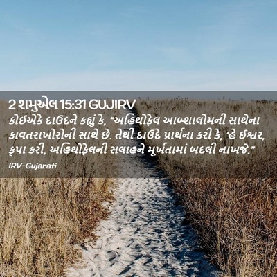 Picture 02 - 2 શમુએલ 15:31 GUJIRV - કોઈએકે દાઉદને - Bible Verse Picture