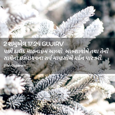 Picture 02 - 2 શમુએલ 17:24 GUJIRV - પછી દાઉદ માહનાઇમ - Bible Verse Picture