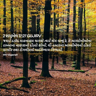 Picture 02 - 2 શમુએલ 17:27 GUJIRV - જયારે દાઉદ - Bible Verse Picture