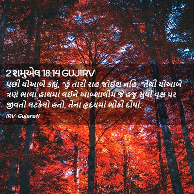 Picture 02 - 2 શમુએલ 18:14 GUJIRV - પછી યોઆબે કહ્યું, - Bible Verse Picture