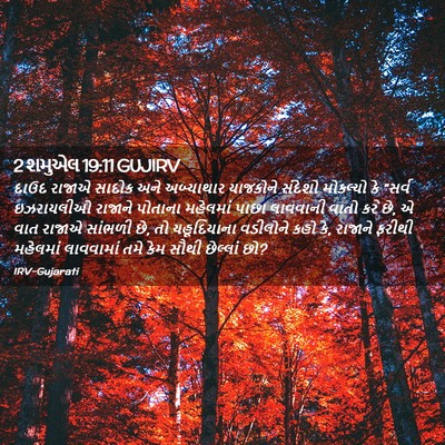 Picture 02 - 2 શમુએલ 19:11 GUJIRV - દાઉદ રાજાએ સાદોક - Bible Verse Picture