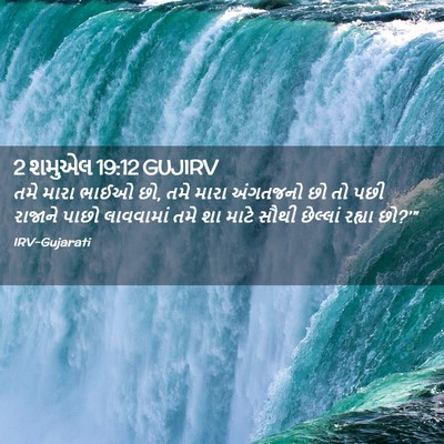 Picture 02 - 2 શમુએલ 19:12 GUJIRV - તમે મારા ભાઈઓ છો, - Bible Verse Picture