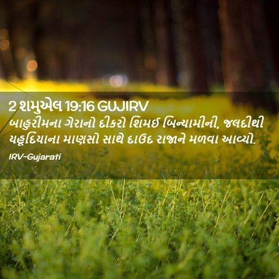 Picture 02 - 2 શમુએલ 19:16 GUJIRV - બાહુરીમના ગેરાનો - Bible Verse Picture