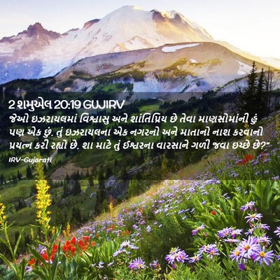 Picture 02 - 2 શમુએલ 20:19 GUJIRV - જેઓ ઇઝરાયલમાં - Bible Verse Picture
