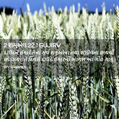 Picture 02 - 2 શમુએલ 22:1 GUJIRV - દાઉદને ઈશ્વરે - Bible Verse Picture