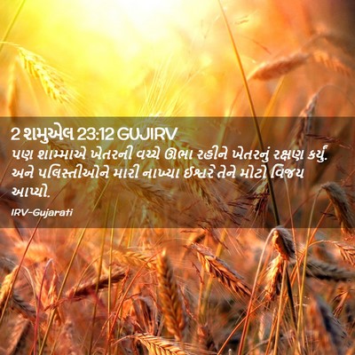 Picture 02 - 2 શમુએલ 23:12 GUJIRV - પણ શામ્માએ ખેતરની - Bible Verse Picture