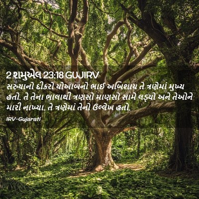 Picture 02 - 2 શમુએલ 23:18 GUJIRV - સરુયાનો દીકરો - Bible Verse Picture