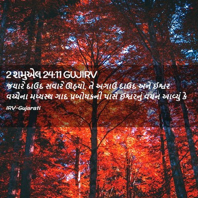 Picture 02 - 2 શમુએલ 24:11 GUJIRV - જયારે દાઉદ સવારે - Bible Verse Picture
